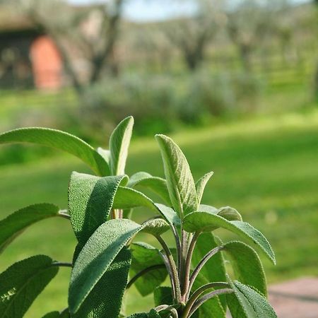 Agriturismo La Mandragola Relais Crotone Exteriör bild