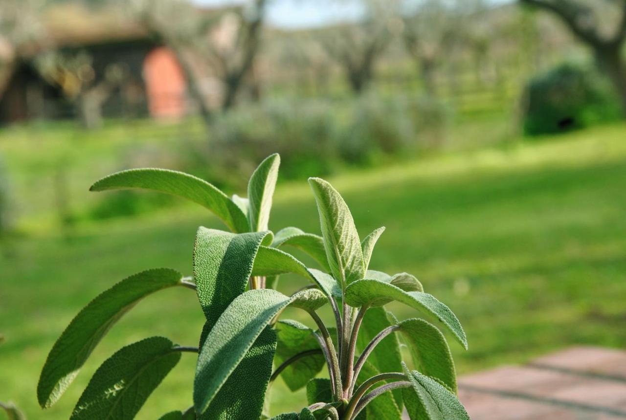 Agriturismo La Mandragola Relais Crotone Exteriör bild