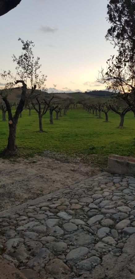 Agriturismo La Mandragola Relais Crotone Exteriör bild