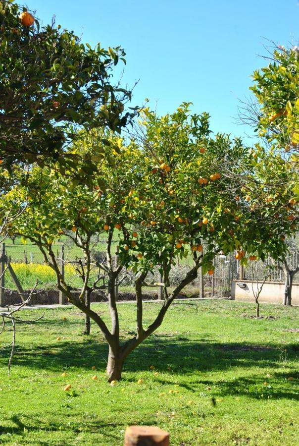 Agriturismo La Mandragola Relais Crotone Exteriör bild