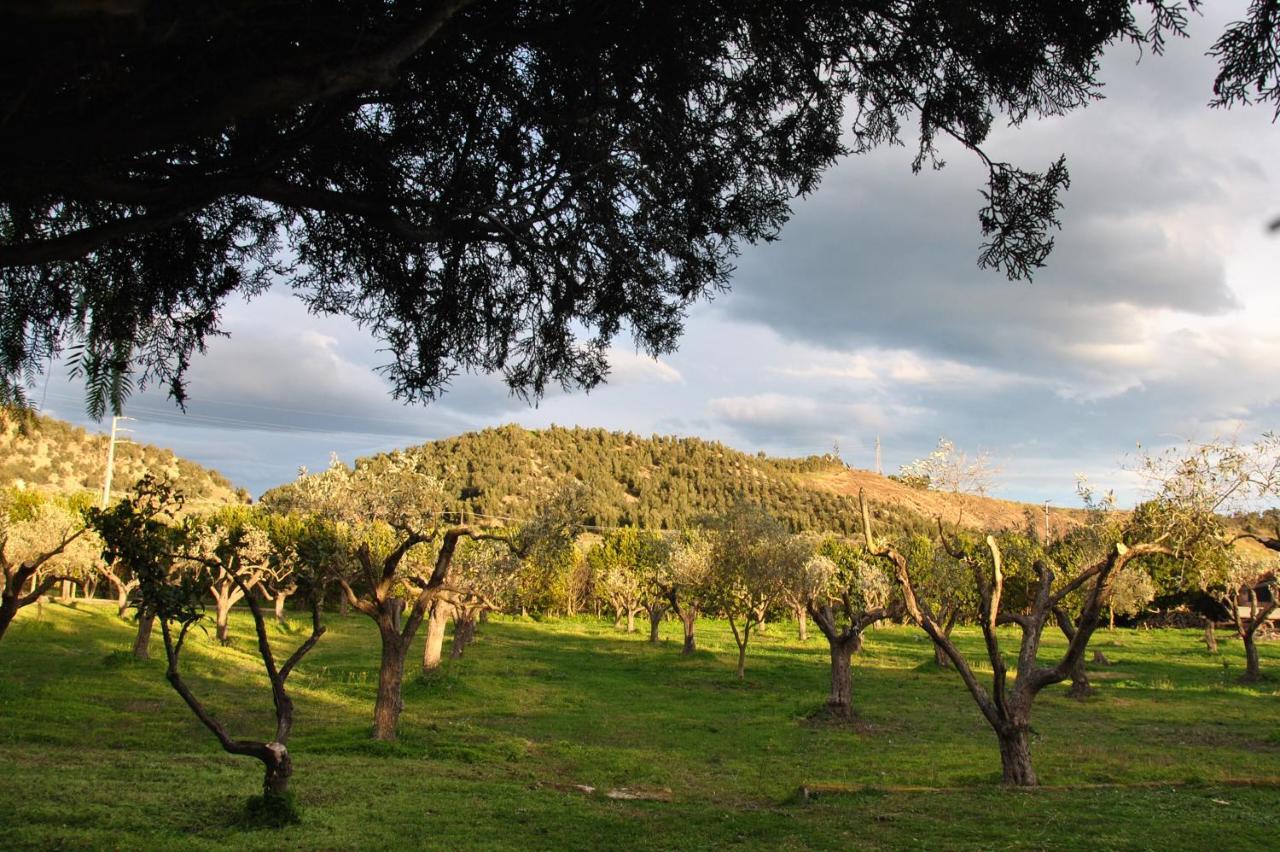 Agriturismo La Mandragola Relais Crotone Exteriör bild