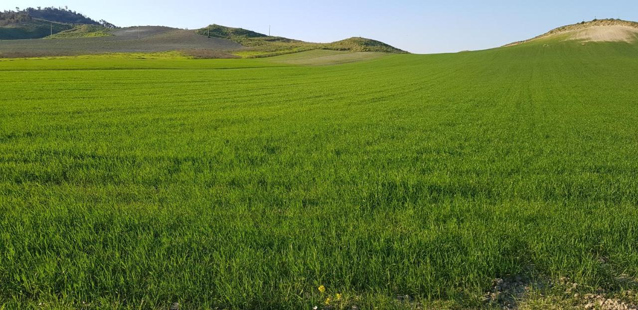 Agriturismo La Mandragola Relais Crotone Exteriör bild