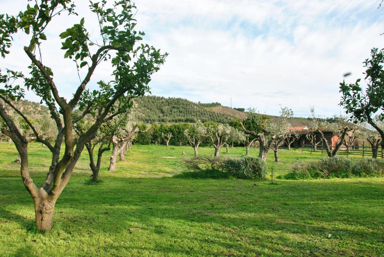 Agriturismo La Mandragola Relais Crotone Exteriör bild
