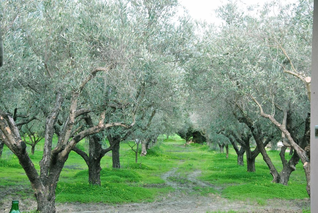 Agriturismo La Mandragola Relais Crotone Exteriör bild